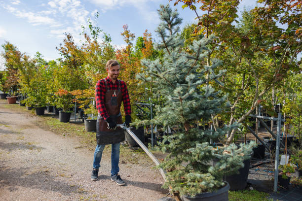 Best Weed Control  in Desert Aire, WA